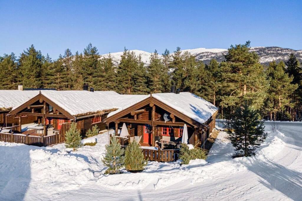 100M Lift, 2 Min Swim - Large Family Cabin Vrådal Zewnętrze zdjęcie